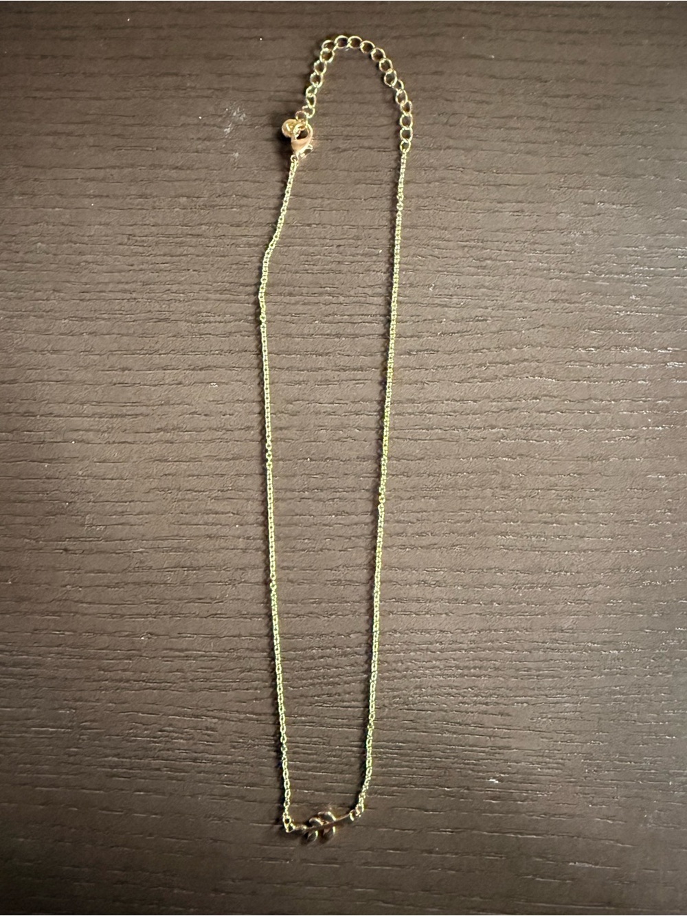 Delicate Gold Necklace w/ Leaf Charm